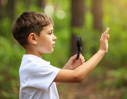 森と少年 森と少年の写真