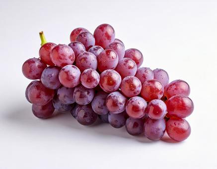 ぶどうの写真