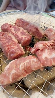 ホルモン焼肉屋で七輪炭焼き カルビ ホルモン焼肉屋で七輪炭焼き カルビ 焼肉,カルビ,七輪の写真素材