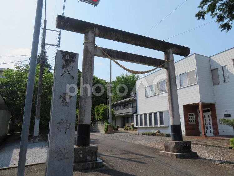 ５月上旬・新緑の頃の八雲神社前 鳥居,寺社仏閣,参拝の写真素材