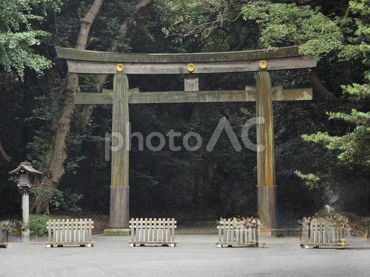 風景　東京　明治神宮　北参道 風景,東京,代々木の写真素材
