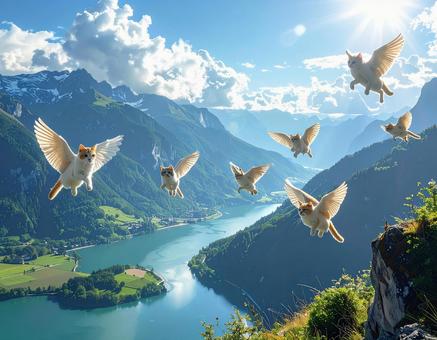 空飛ぶ猫の写真