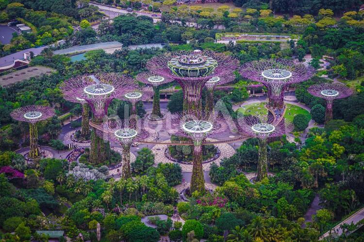 マリーナベイサンズから見えるガーデンバイザベイ シンガポール,マリーナ・ベイ・サンズ,高層ビルの写真素材