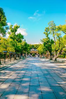 【兵庫】湊川神社 兵庫,神戸,湊川神社の写真素材