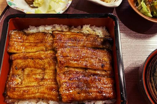 うな重（鰻丼） うな重,うな丼,鰻の写真素材