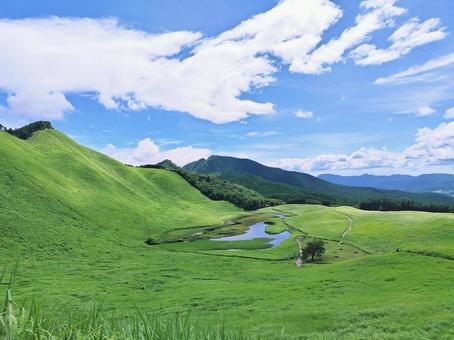 夏の曽爾高原 1 夏の曽爾高原 1 曽爾高原,夏,緑の写真素材