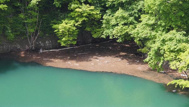 ダム湖の一部 ダム湖の一部の写真