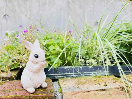 白いうさぎ置物と庭の植物 白いうさぎ置物と庭の植物 ウサギ,置物,オブジェの写真素材