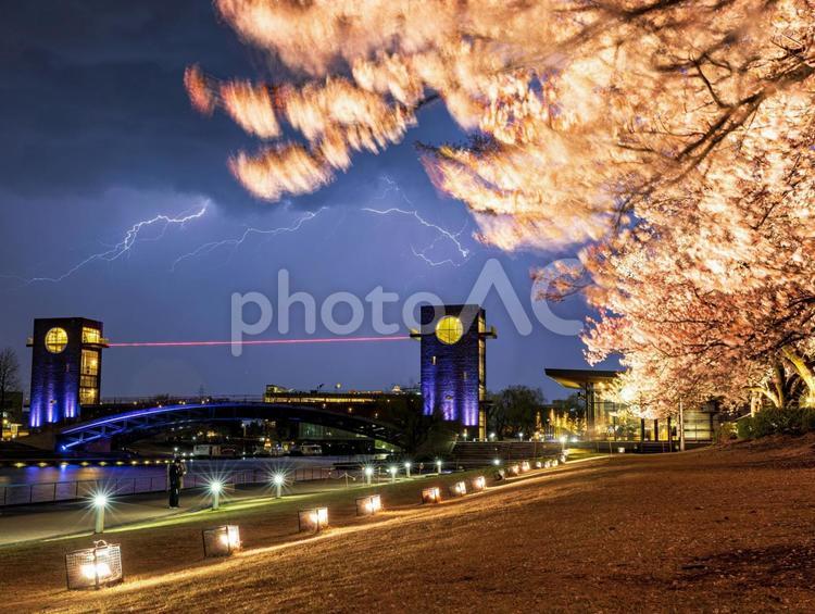 環水公園と桜と雷 富岩運河環水公園,桜,雷の写真素材