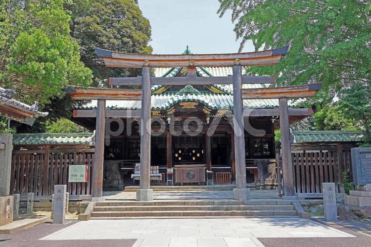 牛嶋神社（墨田） 牛嶋神社,旧郷社,本所一帯の総鎮守の写真素材