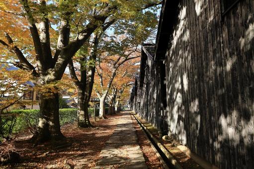 紅葉の山居倉庫 紅葉,秋,風景の写真素材