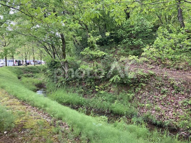 森林と川 自然,土手,堤の写真素材