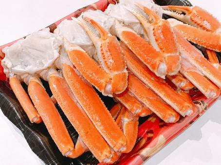 ズワイ蟹 ズワイ蟹,茹でズワイガニ,ボイルズワイガニの写真素材