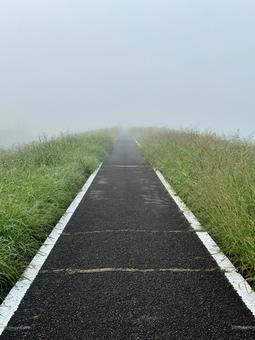 霧に続く道 霧に続く道の写真