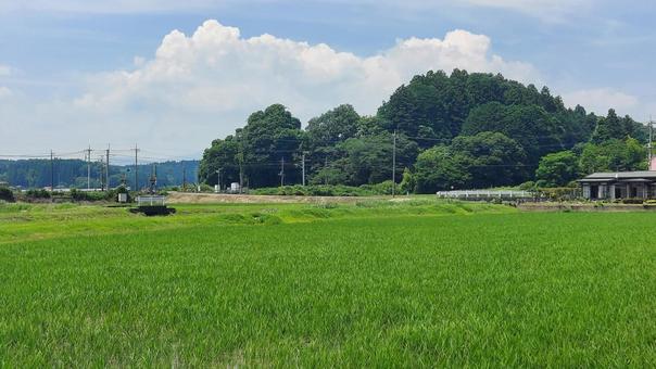 田舎の風景 田舎の風景 田舎,踏切,自然の写真素材