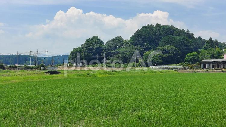 田舎の風景 田舎,踏切,自然の写真素材