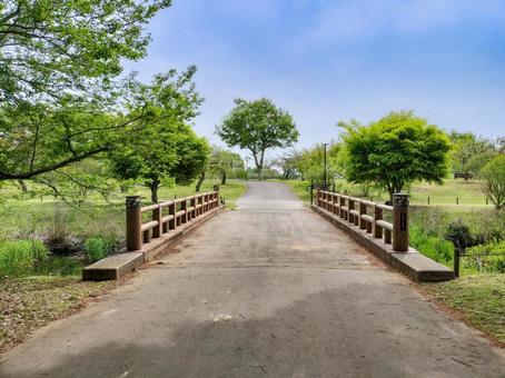 偕楽園公園の丸山橋 偕楽園公園の丸山橋 偕楽園公園,常磐公園,丸山橋の写真素材