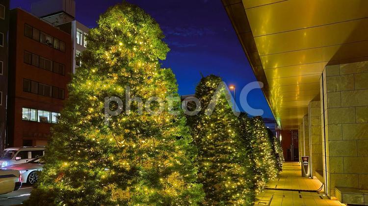 札幌の夜を彩る植栽ライトアップ 札幌,北海道,日本の写真素材