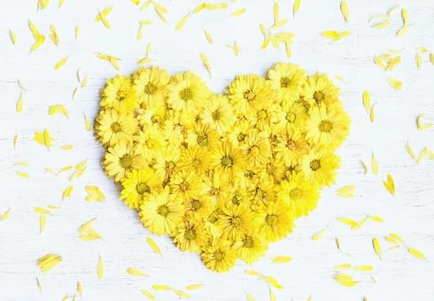 菊の花のハート 菊,花,ハートの写真素材