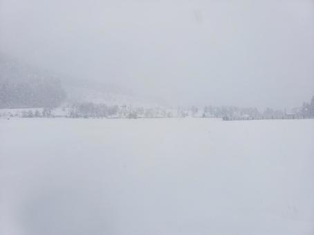 白川村鳩谷より 冬,道路,冬景色の写真素材