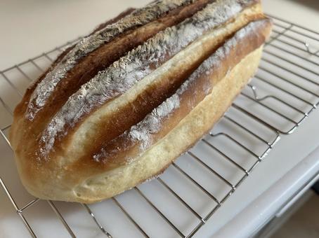 ミルクハース ミルクハース パン,手作りパン,自家製パンの写真素材
