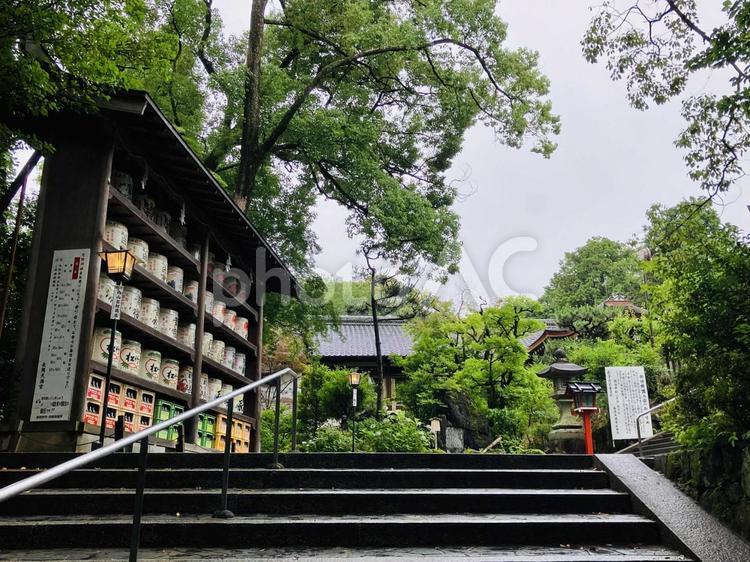 長岡天満宮　参道の酒樽 長岡天満宮,京都府長岡京市,京都十六社の写真素材