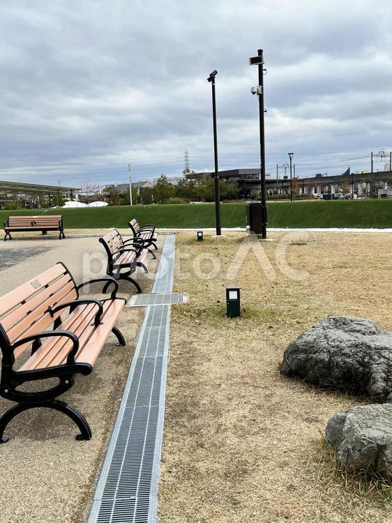 公園のベンチ ベンチ,公園,長イスの写真素材
