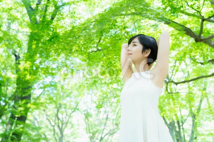 緑の中でスキンケアをする若い女性 ビューティー,女性,スキンケアの写真素材