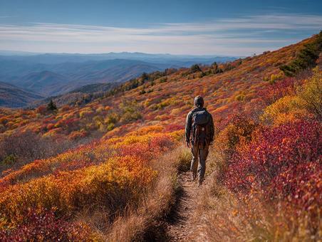 紅葉の山道をハイキング 紅葉の山道をハイキングの写真