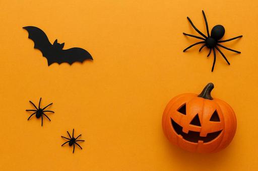 ハロウィン用かぼちゃ背景素材 ハロウィン用かぼちゃ背景素材の写真