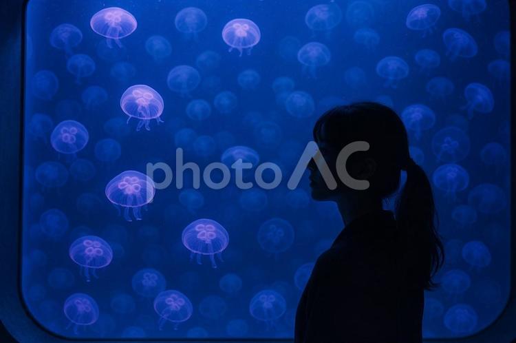 水族館の光るクラゲの水槽 クラゲ,水族館,女性の写真素材
