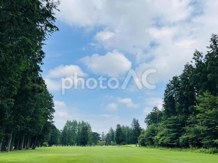 森に囲まれた美しいゴルフコース ゴルフ,鬼怒川カントリークラブ,鬼怒川の写真素材