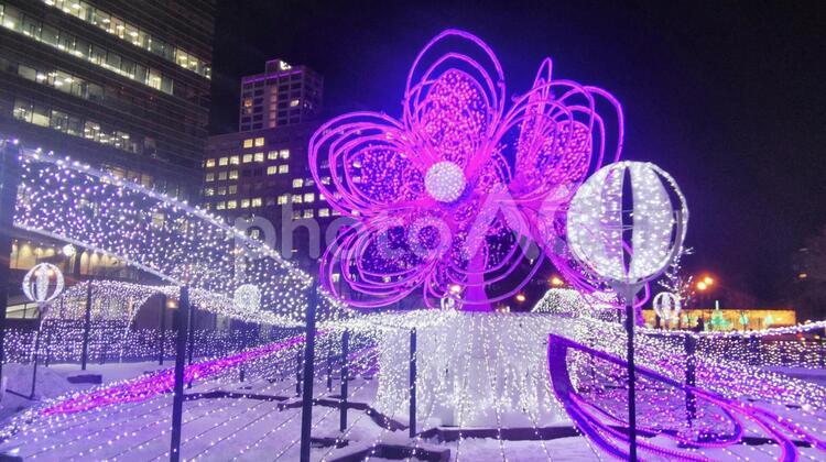 さっぽろホワイトイルミネーション イルミネーション,ホワイトイルミネーション,ライトアップの写真素材