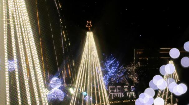 はままつフラワーパーク　イルミネーション イルミネーション,夜景,クリスマスの写真素材