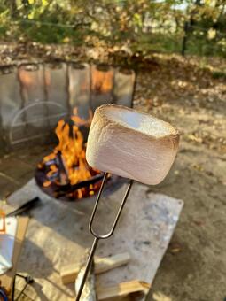 焚き火でマシュマロを焼く 焚き火,薪,キャンプの写真素材