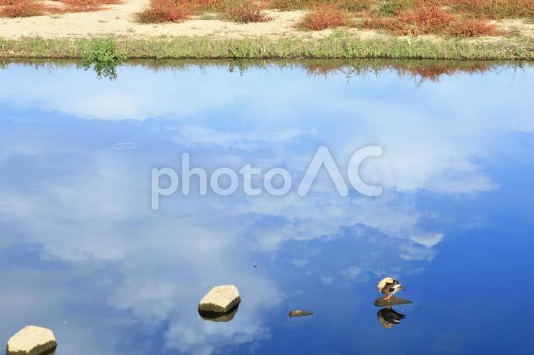水辺の風景 水辺,自然,風景の写真素材