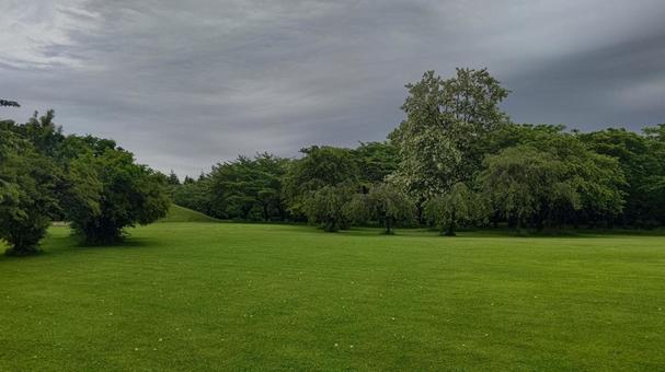 夏の公園2 夏の公園2 公園,風景,曇りの写真素材