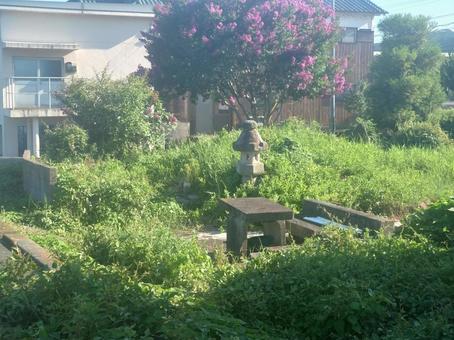 日本の自然風景 壁紙,風景,晴れの写真素材