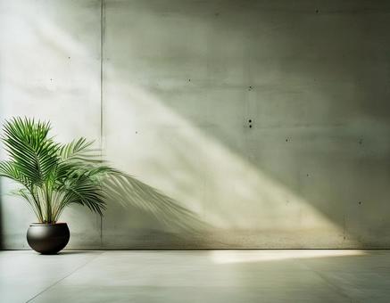 コンクリートの壁と観葉植物の写真