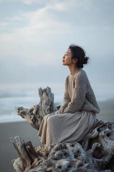 流木の上で、心を澄ますひととき 流木の上で、心を澄ますひとときの写真