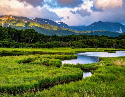 湿原 湿原の写真