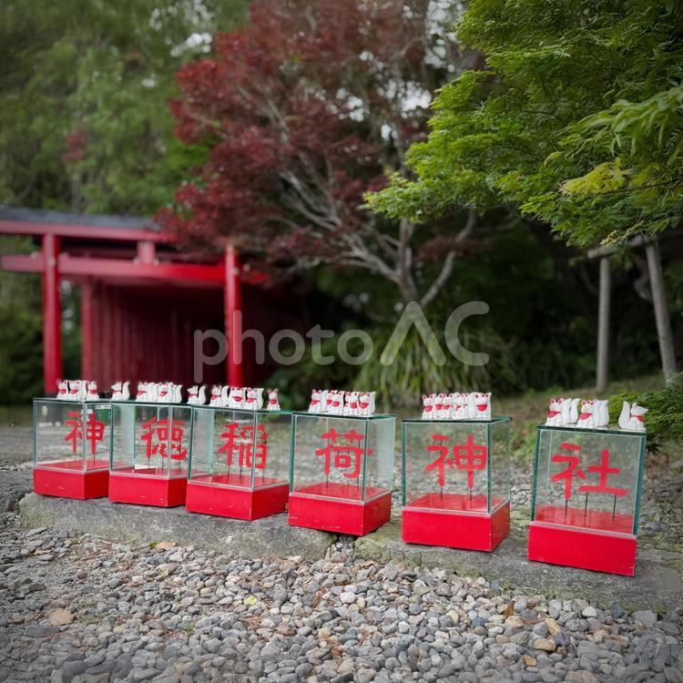 神徳稲荷神社_3 神徳稲荷神社,ディスプレイ,sns映えの写真素材