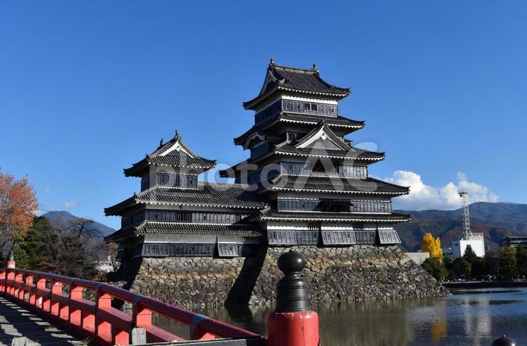 信州秋の松本城 信州,長野県,松本市の写真素材