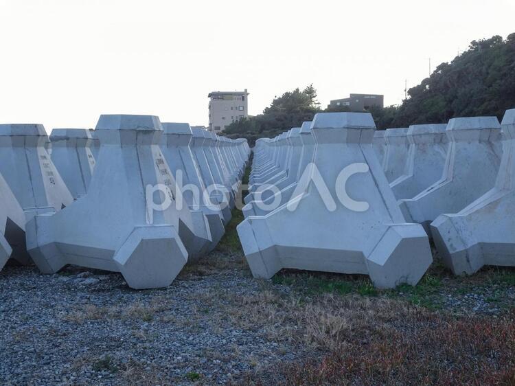 テトラポッド置き場　整列する消波ブロック テトラポッド,波消しブロック,消波ブロックの写真素材