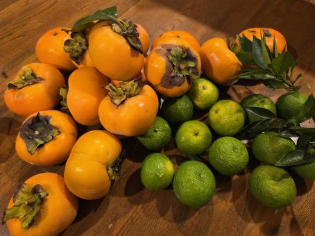 秋の収穫 収穫,柿,かぼすの写真素材