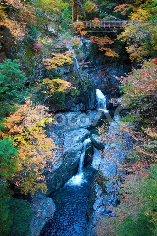 みたらい渓谷５ みたたらい渓谷,もみじ,紅葉の写真素材