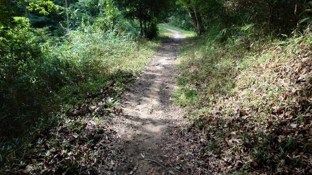 ハイキング道 ハイキング道の写真