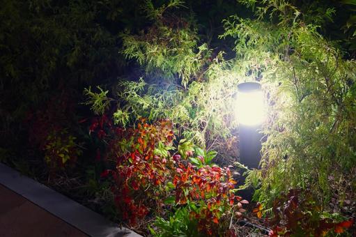 ガーデンライト57 ガーデンライト,ソーラーライト,埋め込みの写真素材