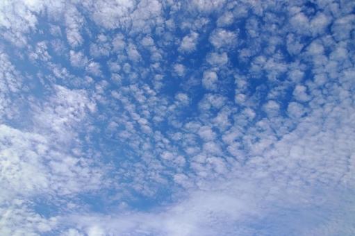 水辺の森公園から見た空と雲01 水辺の森公園から見た空と雲01の写真