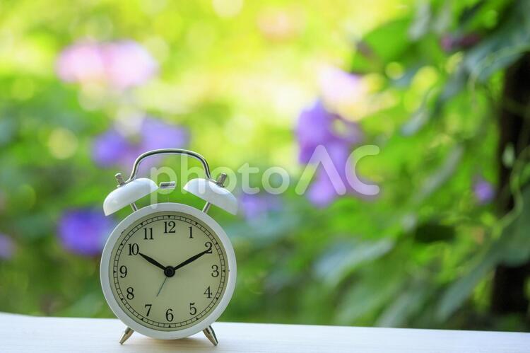 目覚まし時計と緑背景 時間,目覚まし,目覚まし時計の写真素材